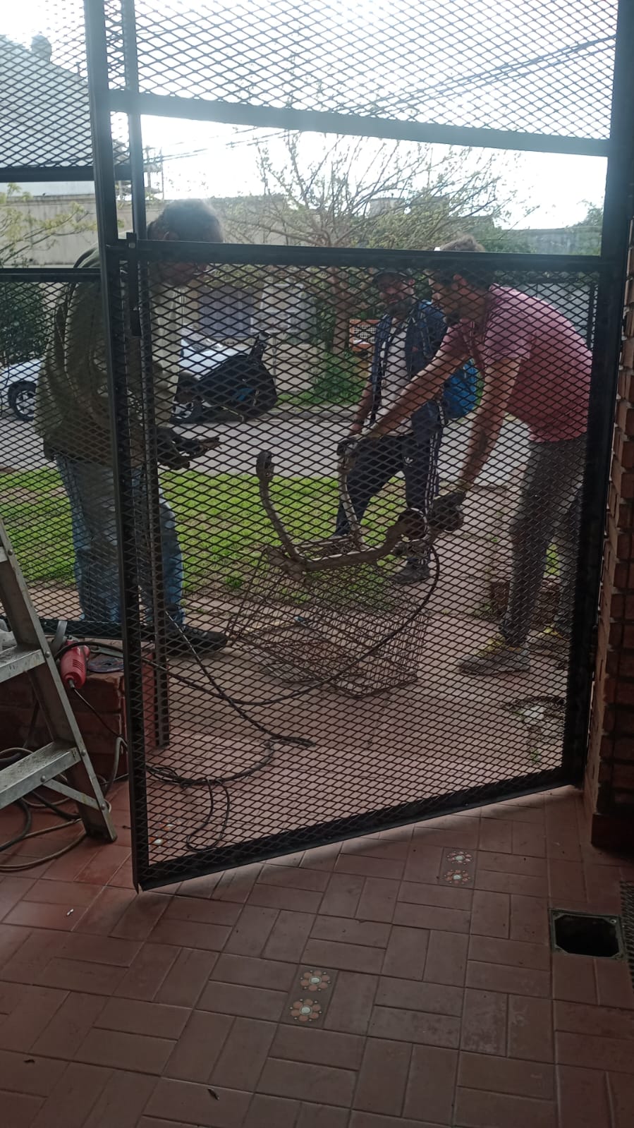 WhatsApp Image 2025-09-15 at 16.34.29.jpeg